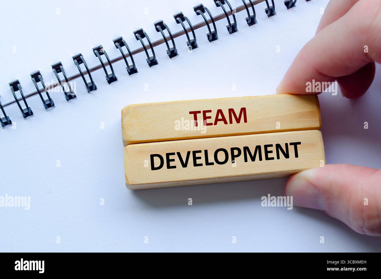 Text ZUR TEAMENTWICKLUNG zu Holzblöcken, strategischer Planung und kollaborativen Praktiken zur Stärkung der Gesamtentwicklung und Einheit des Teams. Stockfoto