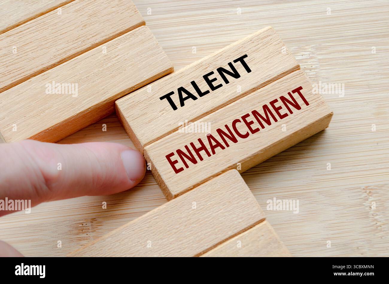 Text ZUR TALENTFÖRDERUNG auf Holzblöcken, zielgerichtete Programme zur Talentförderung, um Fähigkeiten zu fördern und das Potenzial und die Ergebnisse des Unternehmens zu maximieren. Stockfoto