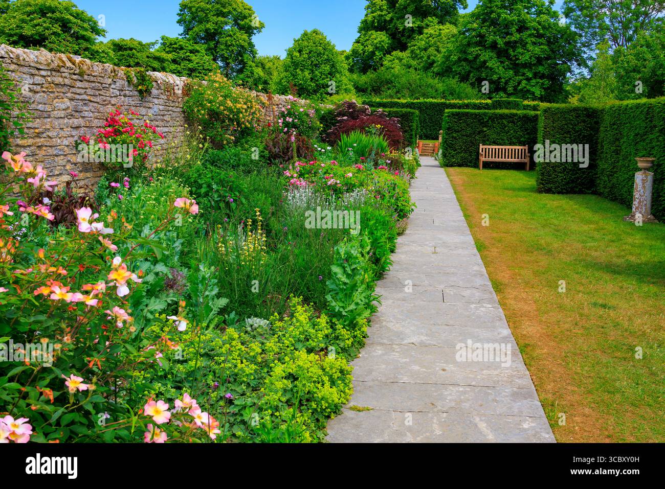 Die farbenfrohe lange Grenze ist während des Sommers im lytes Cary Manor, Somerset, England, von ihrer spektakulären Schönheit geprägt. UK Stockfoto