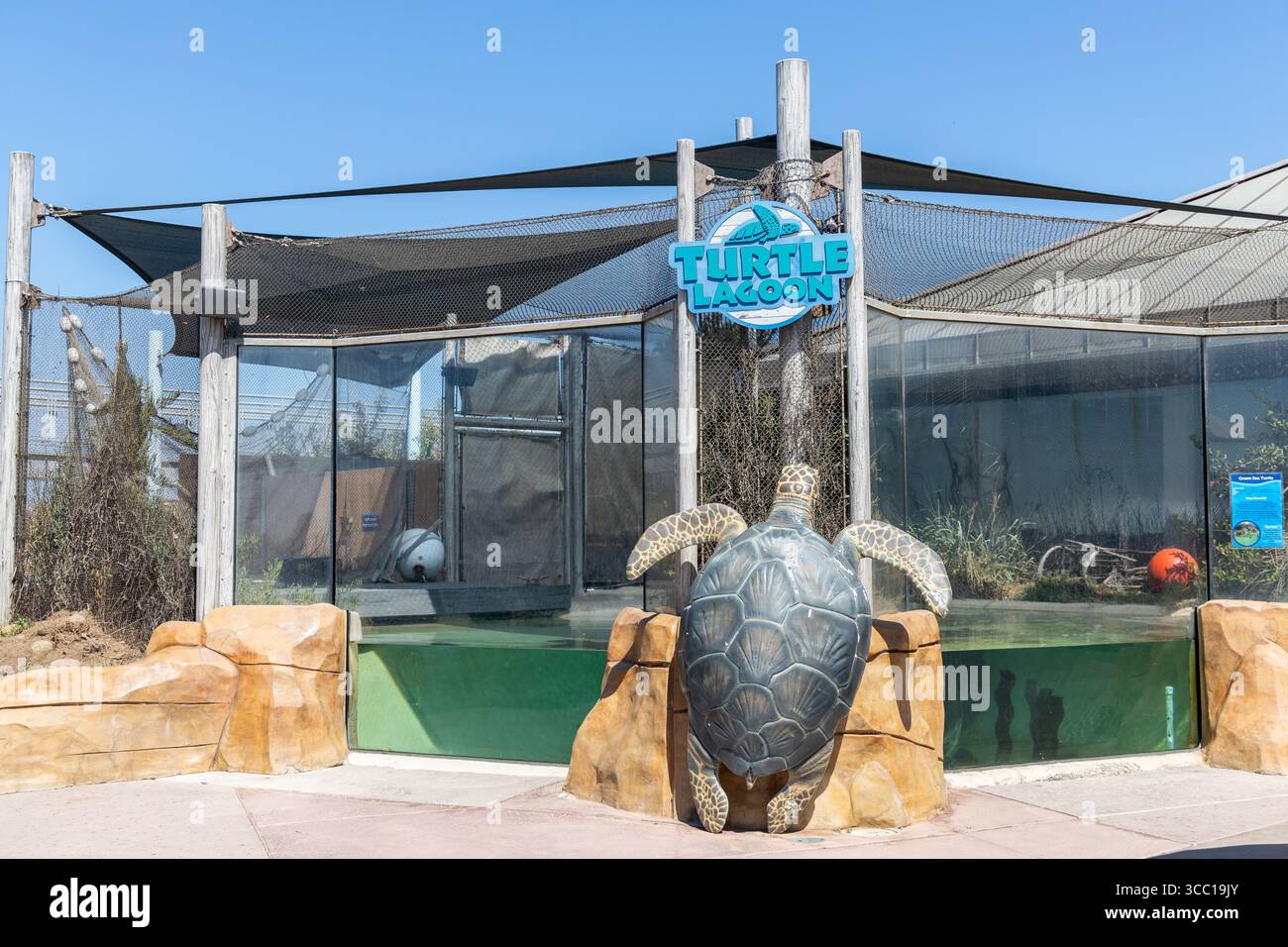 CHULA VISTA, KALIFORNIEN - 14. SEPTEMBER 2024: Turtle Lagoon, eine Ausstellung im Living Coast Discovery Center, einem Zoo und Aquarium. Stockfoto