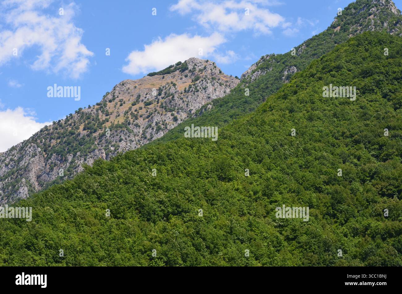 Mavrovo Nationalpark in Nordmazedonien Stockfoto
