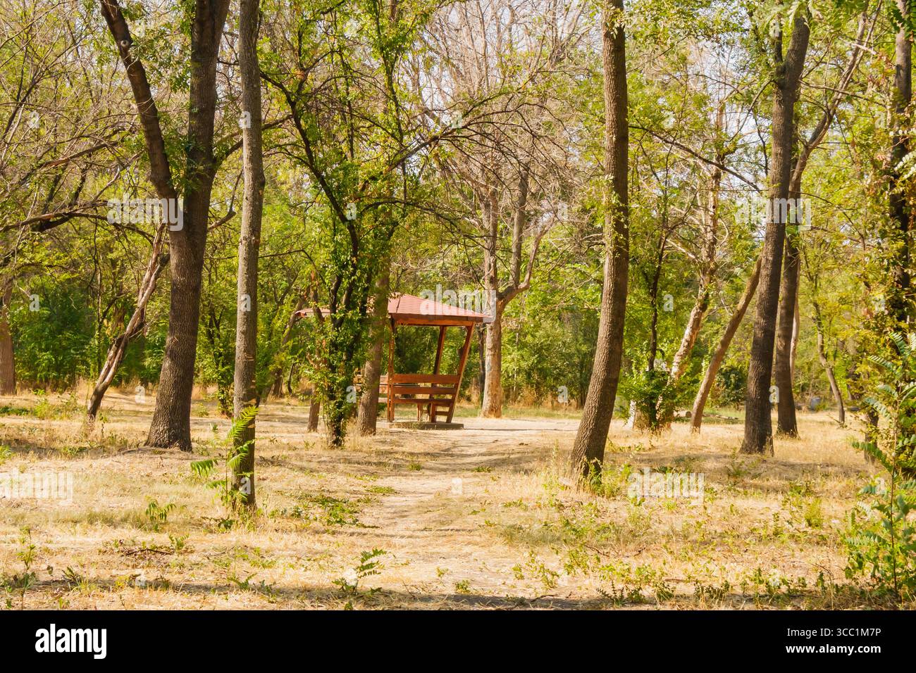 Ein hölzerner Pavillon befindet sich friedlich inmitten eines Parks, umgeben von hohen Bäumen und einem Teppich aus trockenem Gras, was einen ruhigen Ort schafft, der perfekt zum Trinken ist Stockfoto