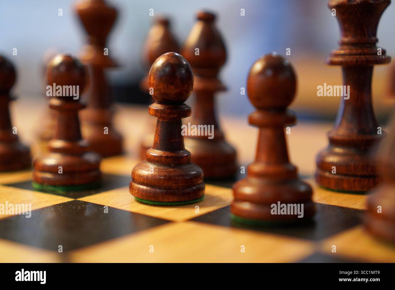 Schachfiguren auf einem Schachbrett, bereit für ein Spiel. Strategisches Brettspiel. Stockfoto