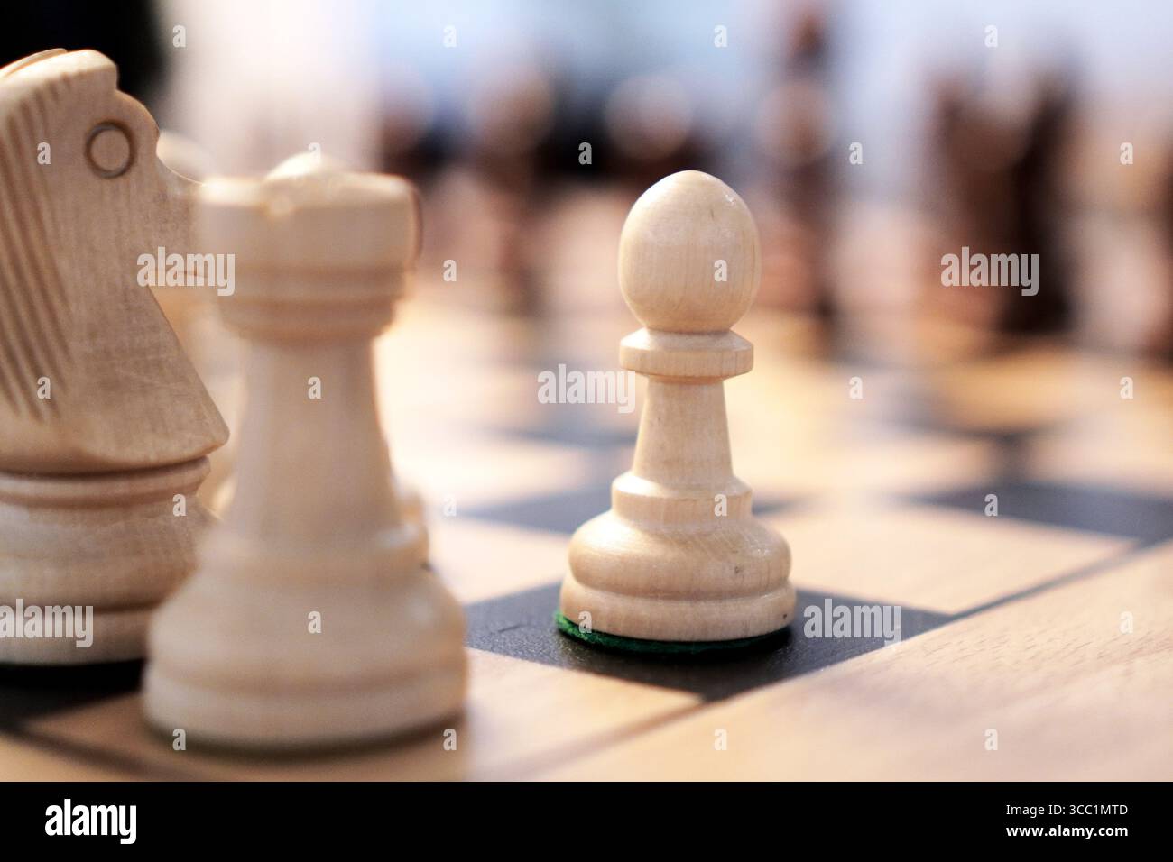 Schachfiguren auf einem Schachbrett, bereit für ein Spiel. Strategisches Brettspiel. Stockfoto