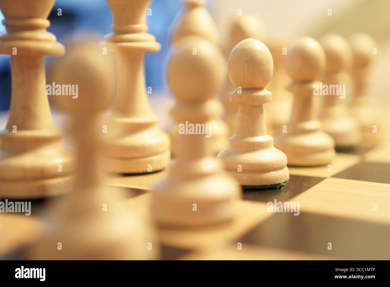 Schachfiguren auf einem Schachbrett, bereit für ein Spiel. Strategisches Brettspiel. Stockfoto