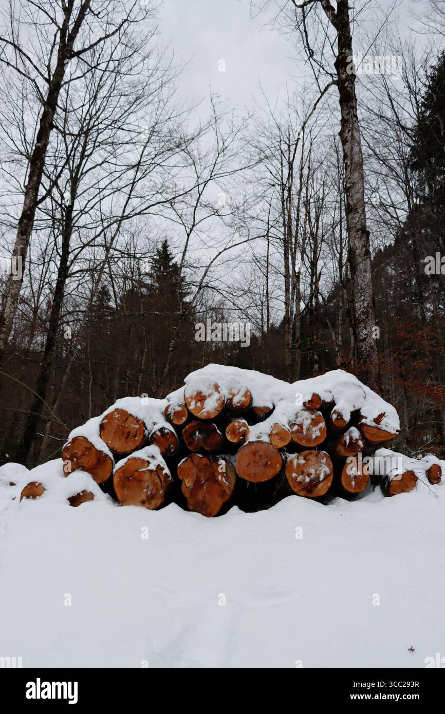 Das Dorf Hohenschwangau, das im Januar 2024 zum Schloss Neuschwanstein in Schwangau führte. Stockfoto