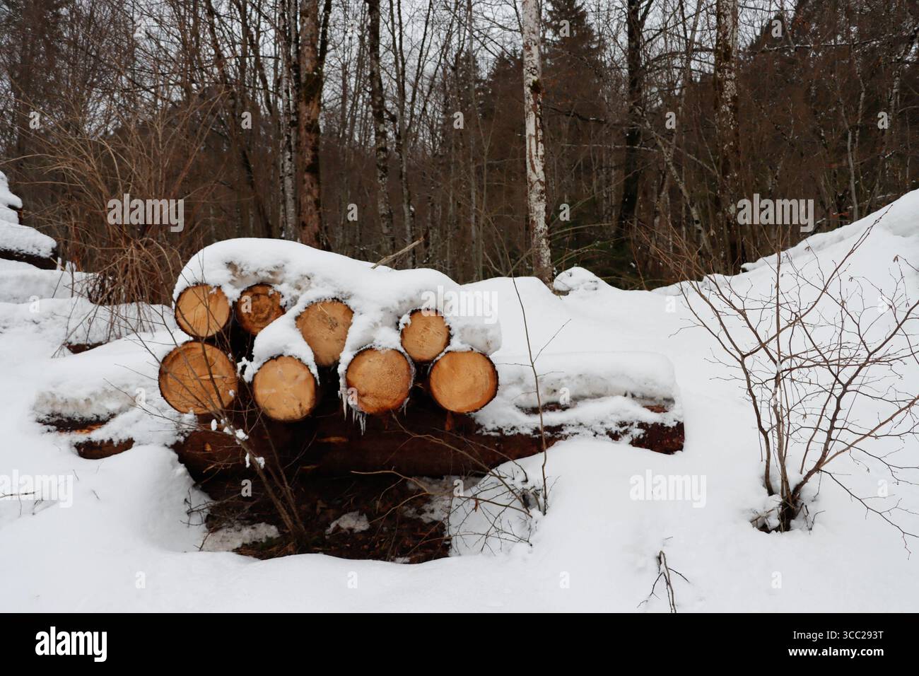 Das Dorf Hohenschwangau, das im Januar 2024 zum Schloss Neuschwanstein in Schwangau führte. Stockfoto