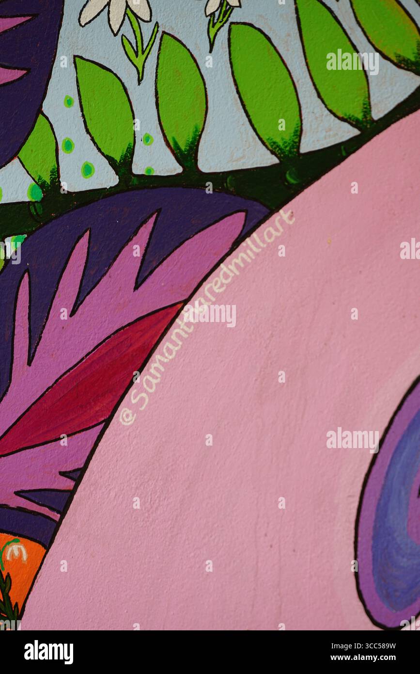 Buntes abstraktes Fototapete mit organischen Formen und Naturmotiven. Kunst von Samantha Redmill Art. Salisbury, England Stockfoto