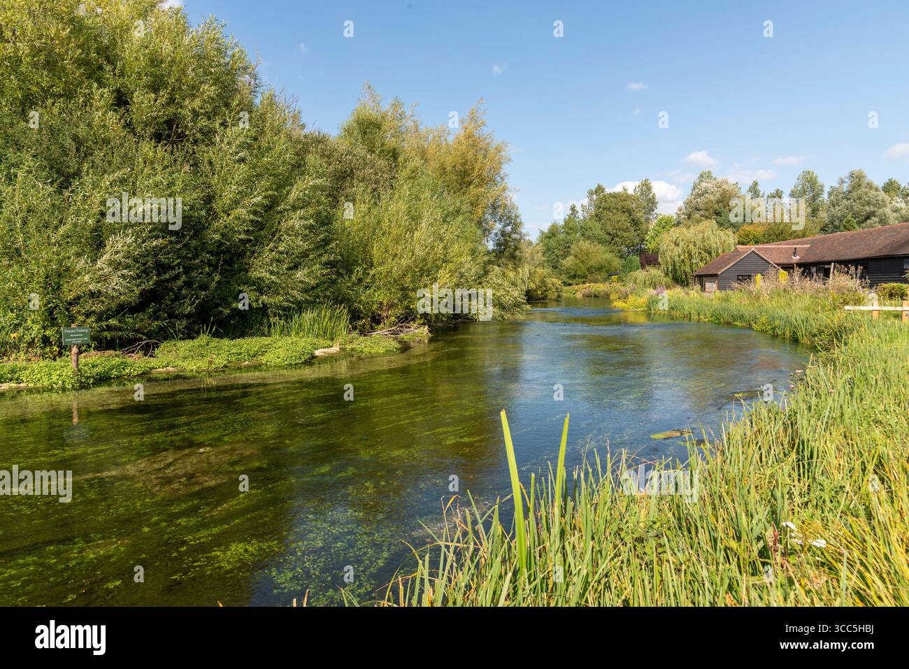 Tufton Hampshire England Vereinigtes Königreich. 09.08.2025. Der berühmte Kreidefluss River Test, bekannt für Forellenfischen, fließt durch Tufton südlich von Whitchurch Hampshi Stockfoto