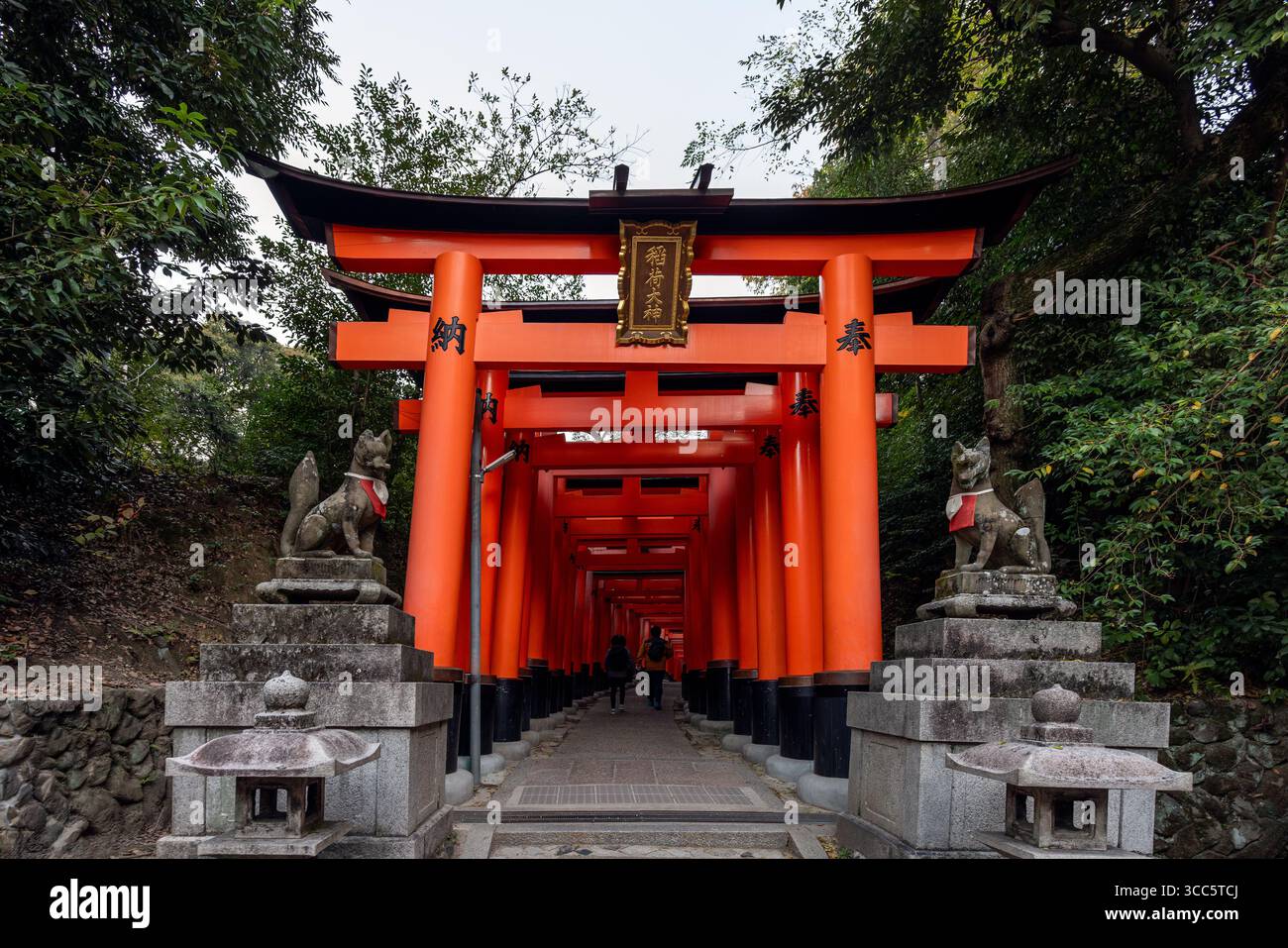Einfahrtspfad am Fushimi Inari Taisha in Kyoto, Japan, eingerahmt von roten Torii-Toren und Fuchsschutzstatuen, die am frühen Morgen mit dem ersten VI erfasst wurden Stockfoto