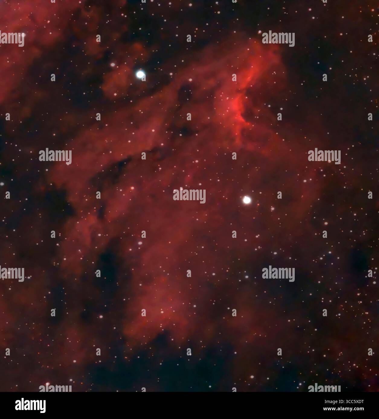 Wimbledon, London, Großbritannien. August 2025. IC 5070 der Pelikannebel (rechts) fotografiert über London, Großbritannien am 10. August 2025 - die Gaswolke leuchtet rot aufgrund von Wasserstoff II. Der Nebel ist 1.800 Lichtjahre von der Erde entfernt. Kredit: Malcolm Park/Alamy Stockfoto