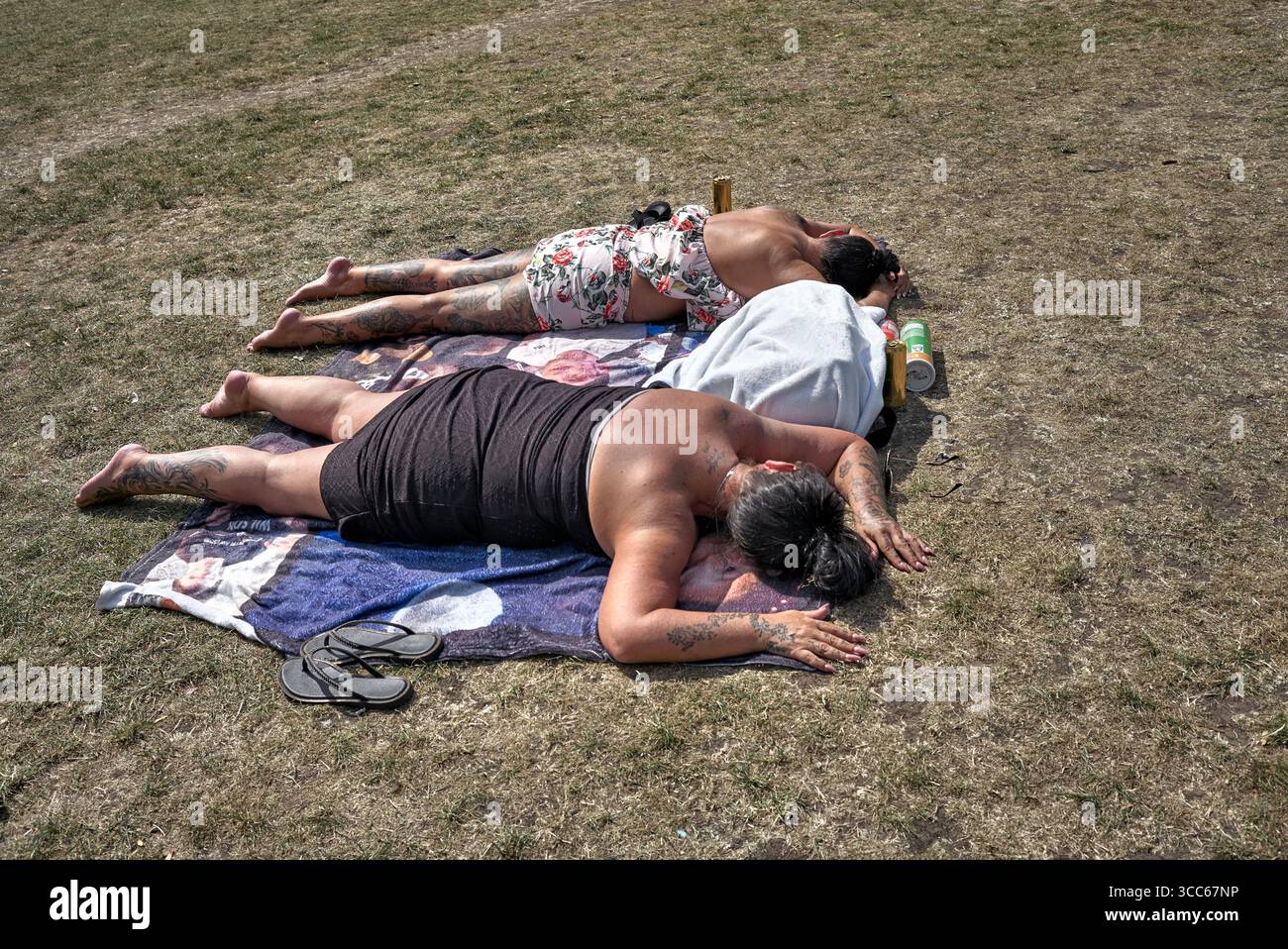 Menschen, die an einem heißen Sommertag sonnen, England, Großbritannien Stockfoto