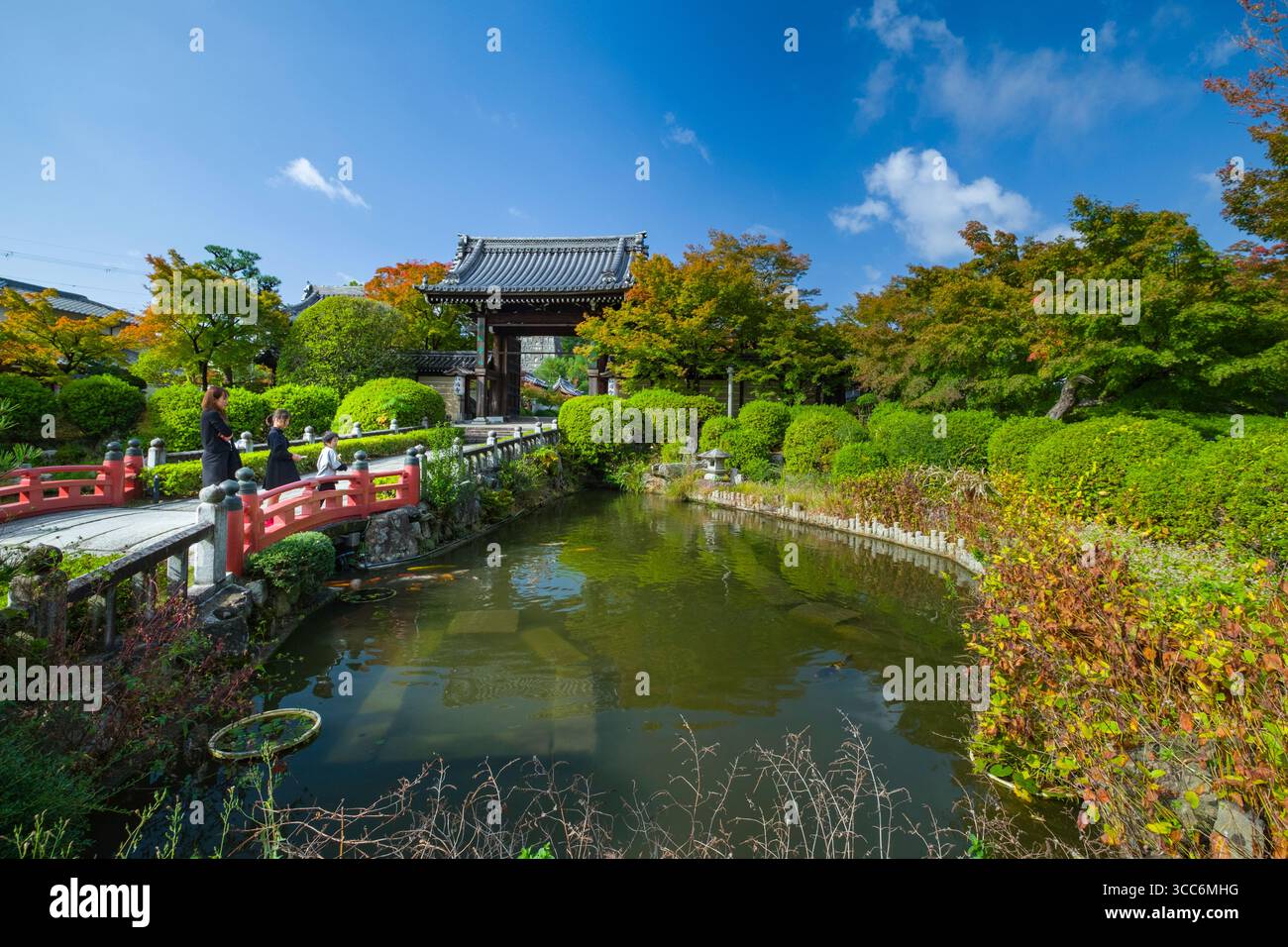 Schöner japanischer Garten mit einem ruhigen Teich, lebhaftem Herbstlaub und traditioneller Architektur. Die beschauliche Szene fängt das Wesen von na ein Stockfoto