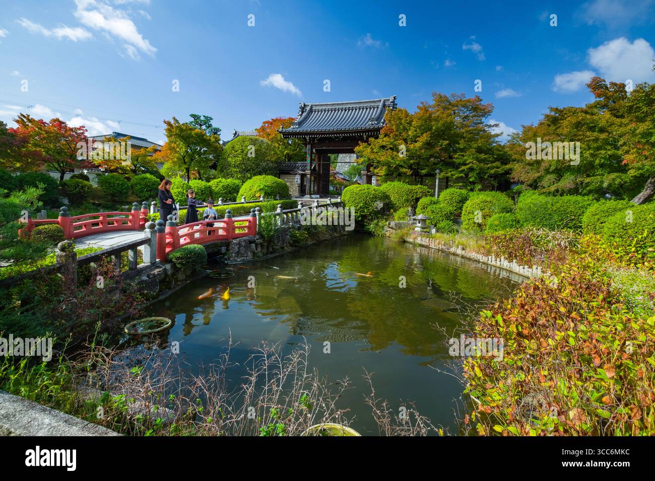 Ein ruhiger japanischer Garten mit einer roten Brücke, einem ruhigen Teich und einem lebhaften Herbstlaub unter einem klaren blauen Himmel. Ideal für Konzepte von Frieden, Natur, Stockfoto