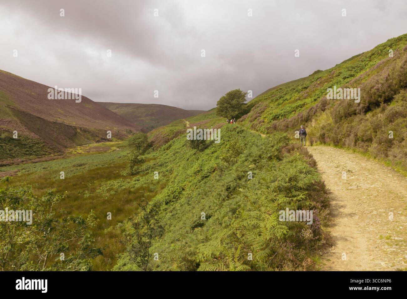 Menschen auf einem Wanderweg im Tal von Bowland in England, in einem wunderschönen Tal mit Langden Brook und Bracken. An einem bewölkten Sommertag. Stockfoto