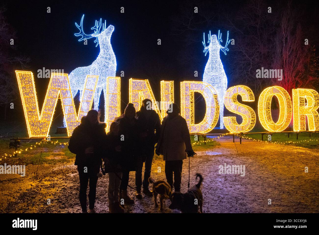 Windsor Great Park weihnachtsbeleuchtung Windsor Great Park beleuchtet Stockfoto