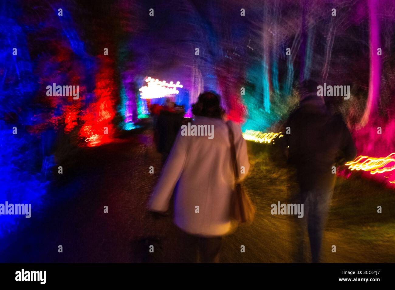 Windsor Great Park weihnachtsbeleuchtung Windsor Great Park beleuchtet Stockfoto
