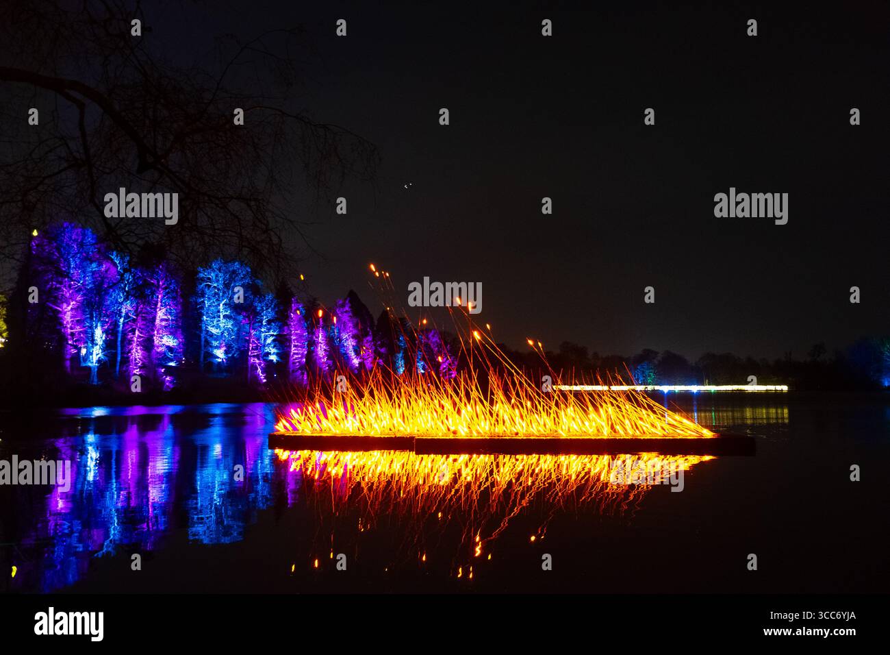 Windsor Great Park weihnachtsbeleuchtung Windsor Great Park beleuchtet Stockfoto