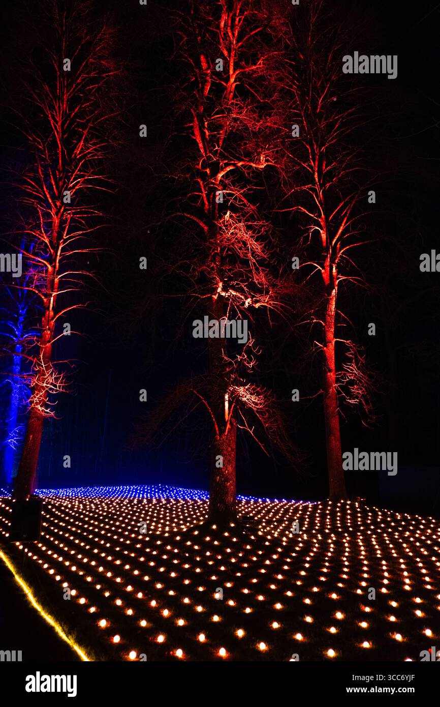 Windsor Great Park weihnachtsbeleuchtung Windsor Great Park beleuchtet Stockfoto