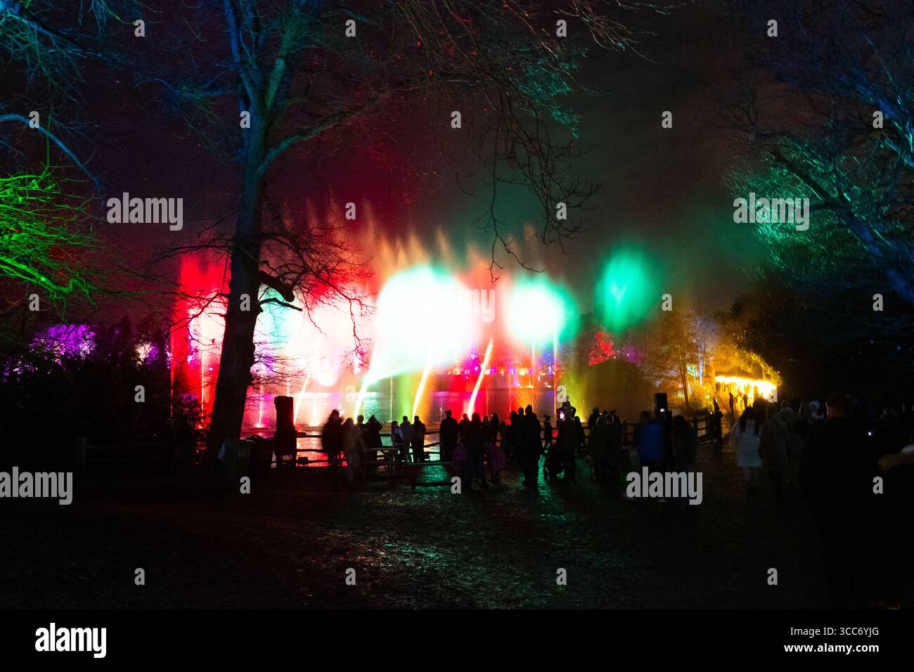 Windsor Great Park weihnachtsbeleuchtung Windsor Great Park beleuchtet Stockfoto