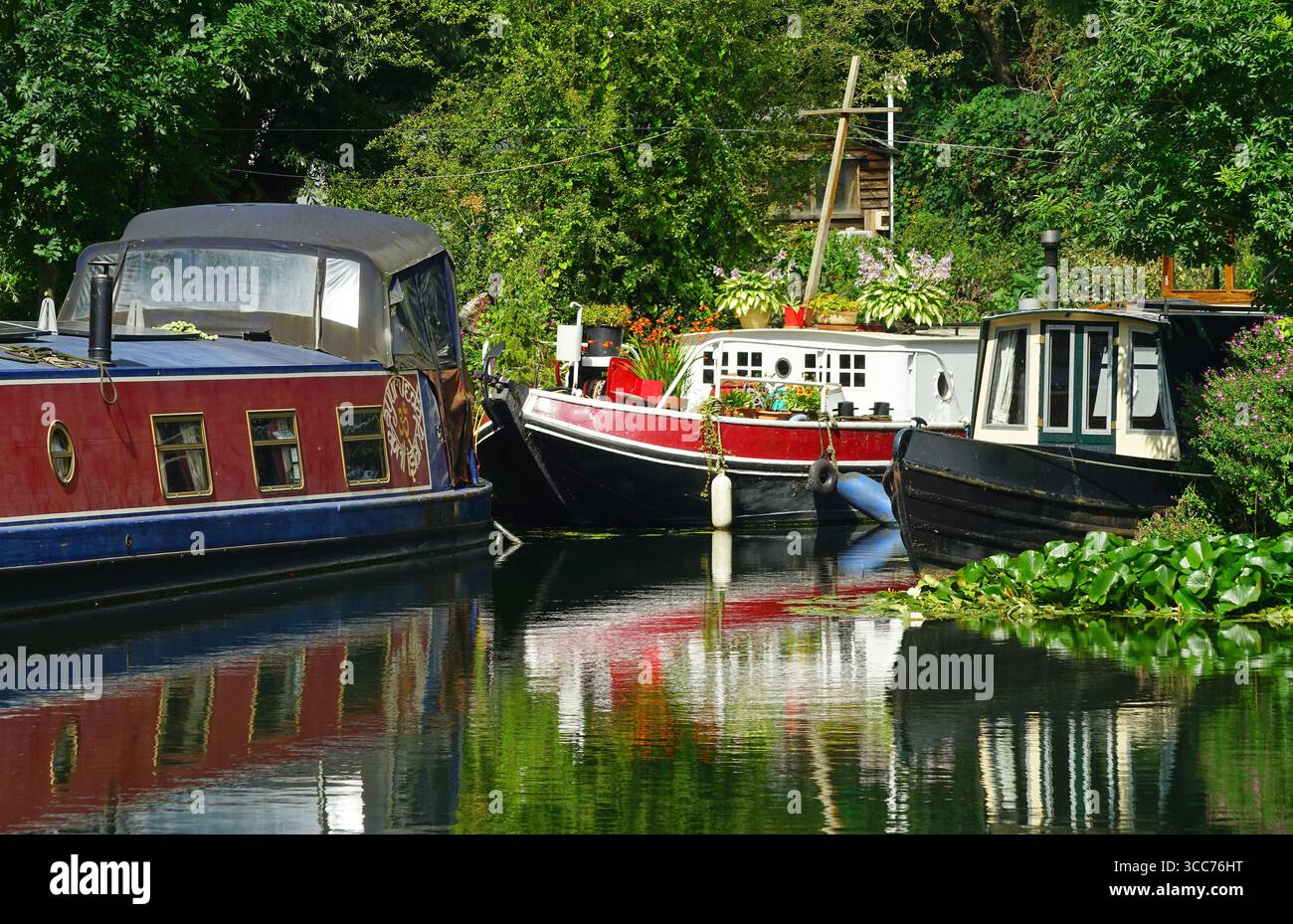 Boote liegen in der Nähe von Bishops Stortford Stockfoto