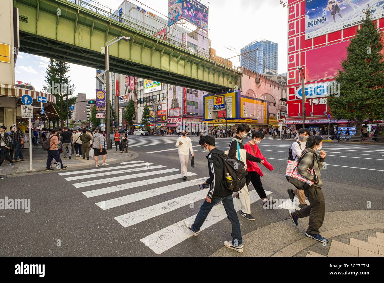 Grüne Brücke der Linie Chūō–Sōbu über die Chuo-dori Avenue, Akihabara, Sotokanda, Chiyoda City, Tokio, Kantō, Honshu, Japan Stockfoto