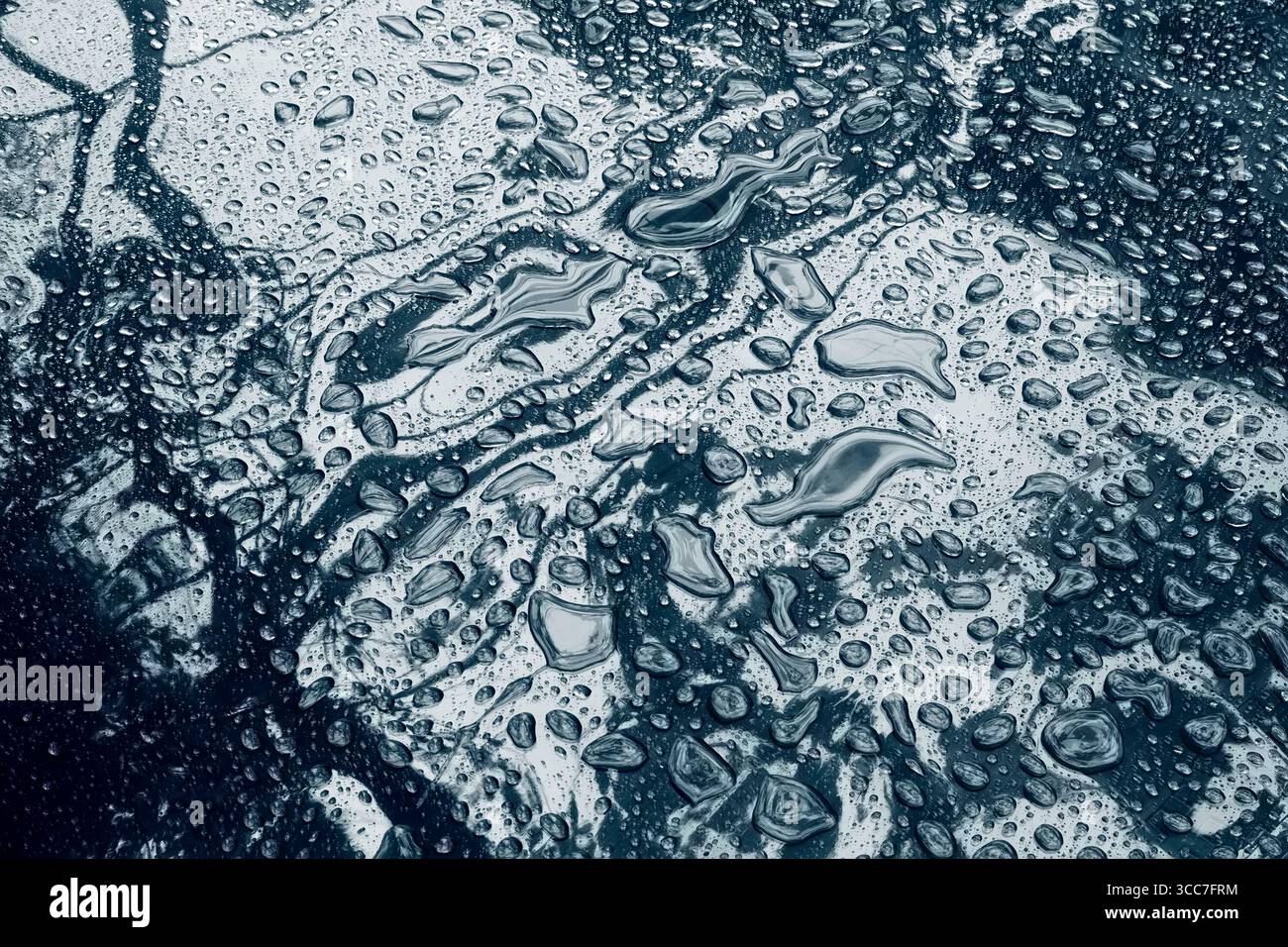 Wassertropfen unterschiedlicher Größe auf einer glänzenden Oberfläche. Nahaufnahme mit leichtem Ton Stockfoto