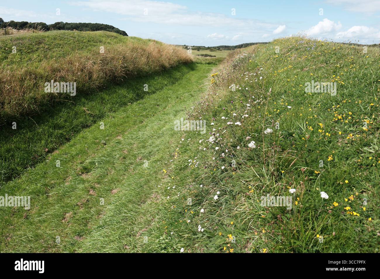 Rispain Camp bei Whithorn, Galloway, Schottland, Vereinigtes Königreich ist ein gut erhaltener, eisenzeitlicher befestigter Bauernhof mit Gräben und Steinwällen - Foto August 2025 Stockfoto