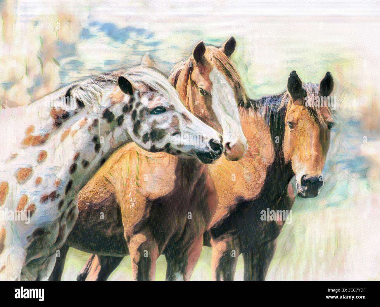 Stilisierte digitale Fotokunst. Drei Erwachsene Appaloossa-Mares drängen sich zusammen und berühren Nasen, die ein absichtliches Auge auf uns haben. Stockfoto Stilisierte digitale Fotokunst. Drei Erwachsene Appaloossa-Mares drängen sich zusammen und berühren Nasen, die ein absichtliches Auge auf uns haben. Stockfoto
