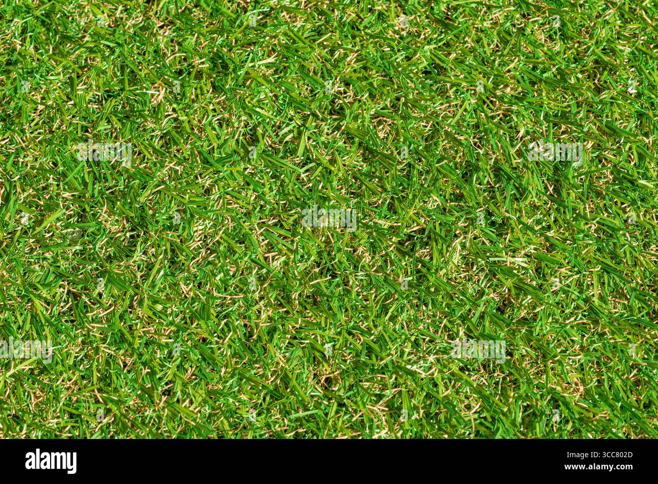 Nahaufnahme eines synthetischen grünen Grasfeldes. Das Gras ist kurz und das Feld ist üppig und grün. Vollformathintergründe für Sportkonzepte Stockfoto