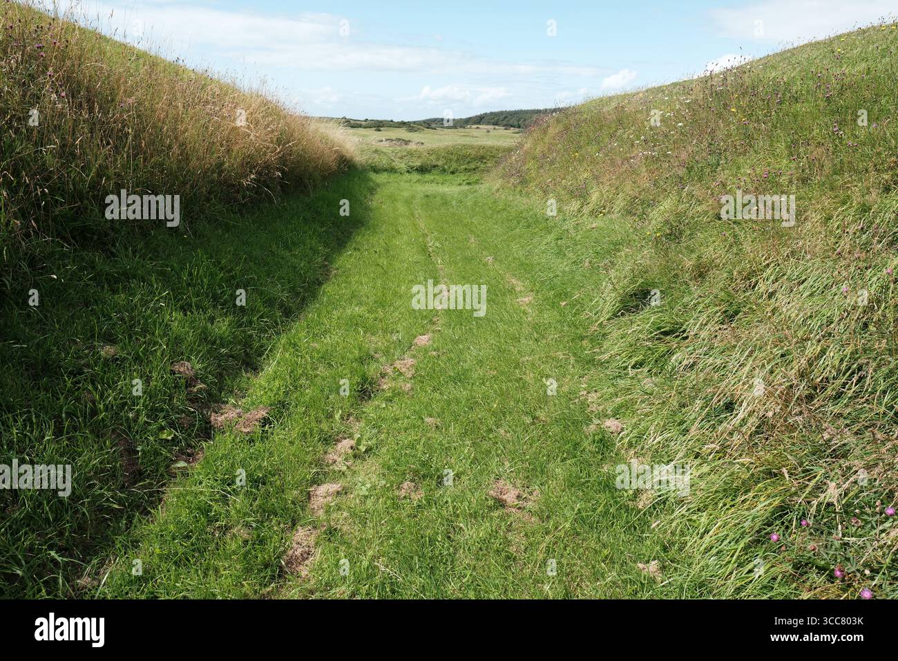 Rispain Camp bei Whithorn, Galloway, Schottland, Vereinigtes Königreich ist ein gut erhaltener, eisenzeitlicher befestigter Bauernhof mit Gräben und Steinwällen - Foto August 2025 Stockfoto