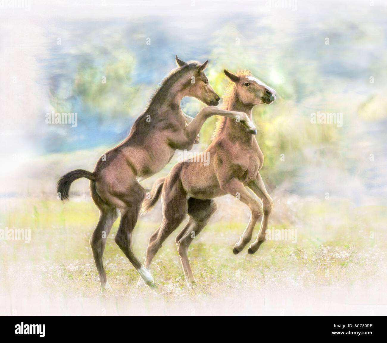 Vollblutpferdefohlen toben und spielen im Koppel mit Teich. Stilisierte digitale Fotokunst. Stockfoto