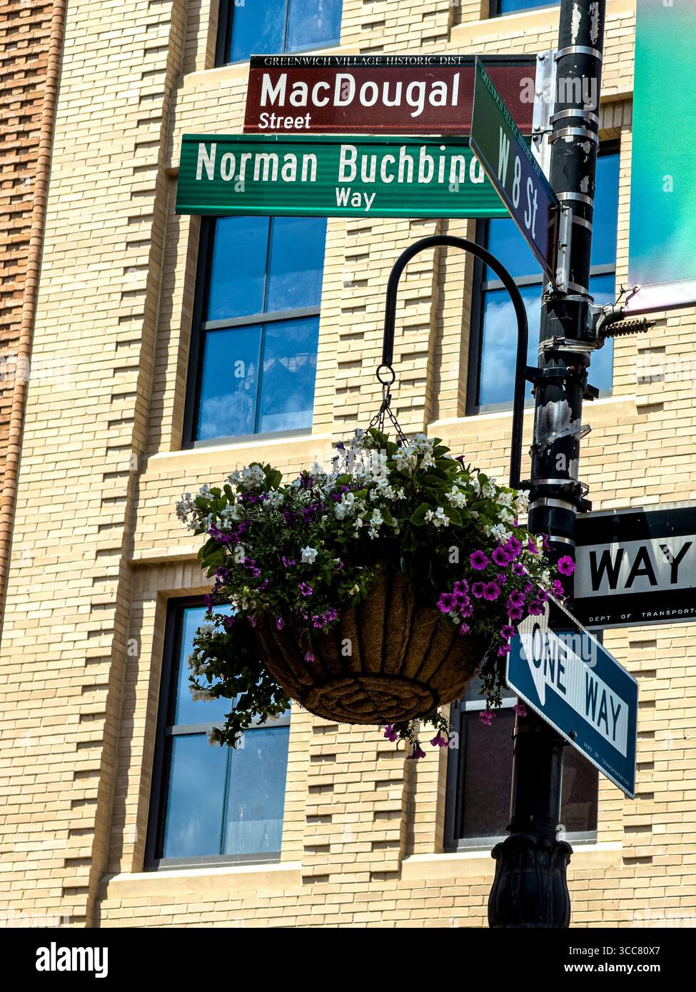 Die Ecke 8th Street und MacDougal wurde nach Norman Buchbinder benannt, der Pionierarbeit in den Geschäftsvierteln Greenwich Village, New York City, leistete Stockfoto