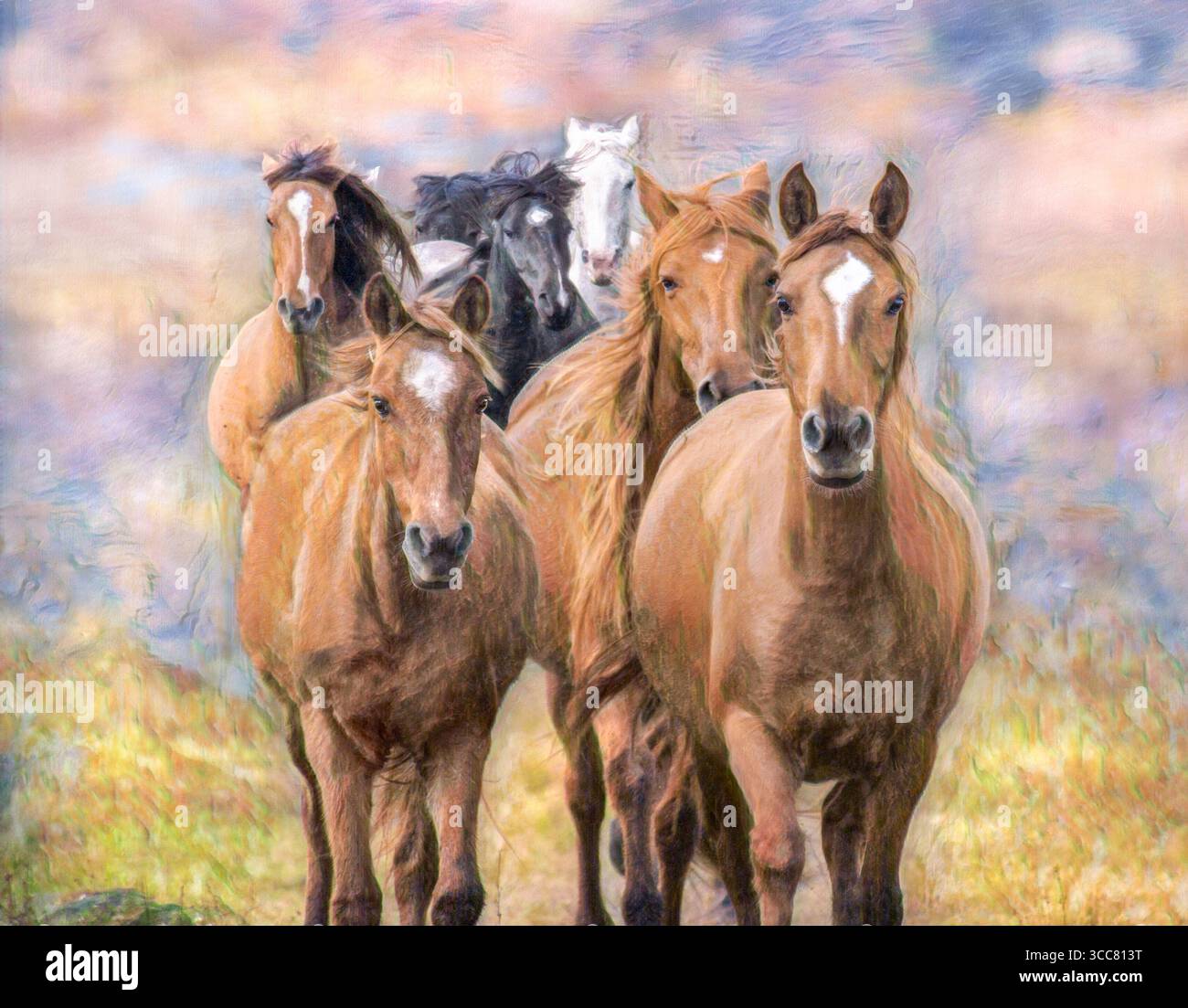 Eine Herde erwachsener weiblicher spanischer Mustang-Pferdestuten läuft kopfüber. Stilisierte digitale Fotokunst. Stockfoto Eine Herde erwachsener weiblicher spanischer Mustang-Pferdestuten läuft kopfüber. Stilisierte digitale Fotokunst. Stockfoto