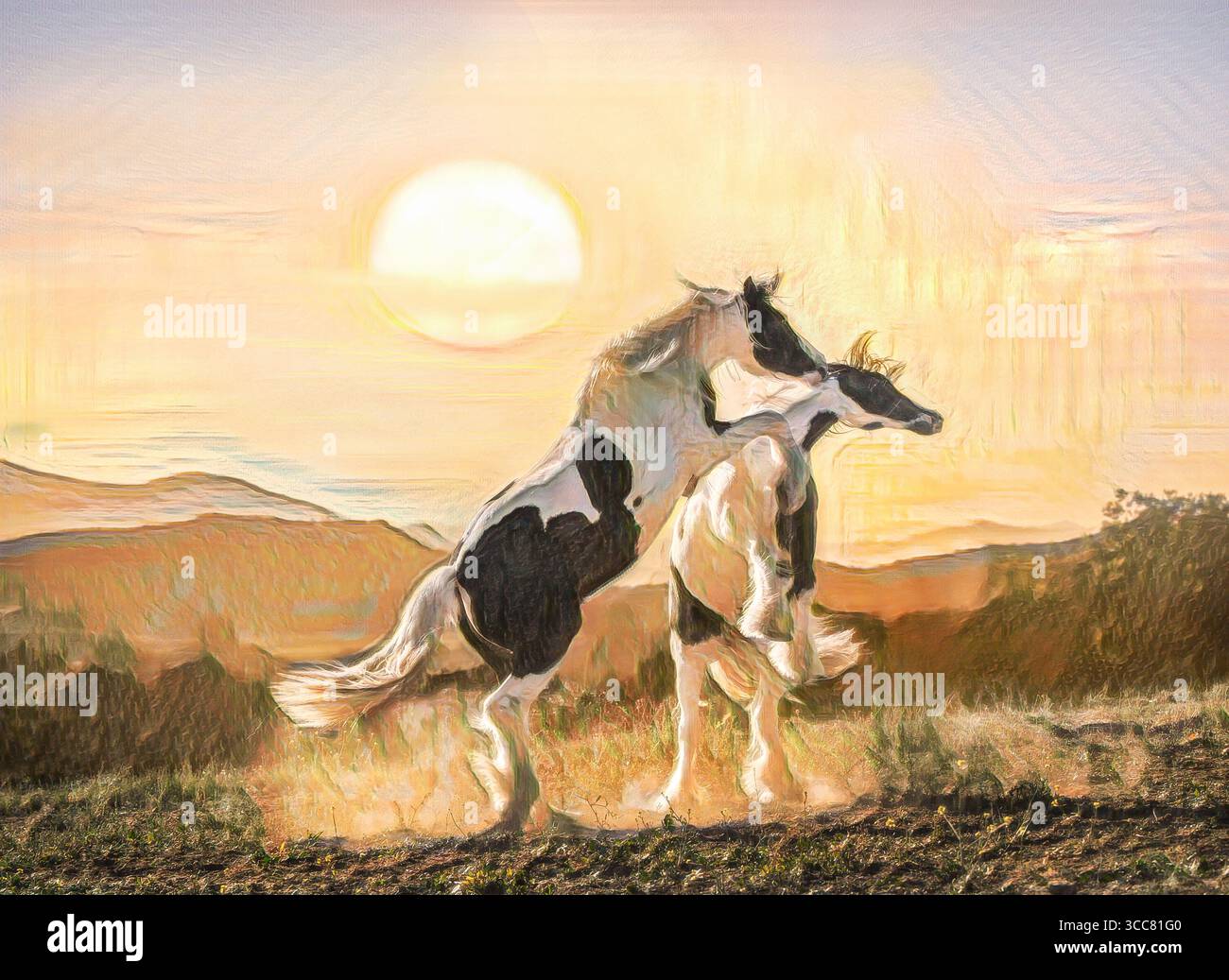 Junge Gypsy Vanner Pferde, die sich aufziehen und spielen, während die Sonne hinter dem Berg untergeht. Stilisierte digitale Fotokunst. Stockfoto