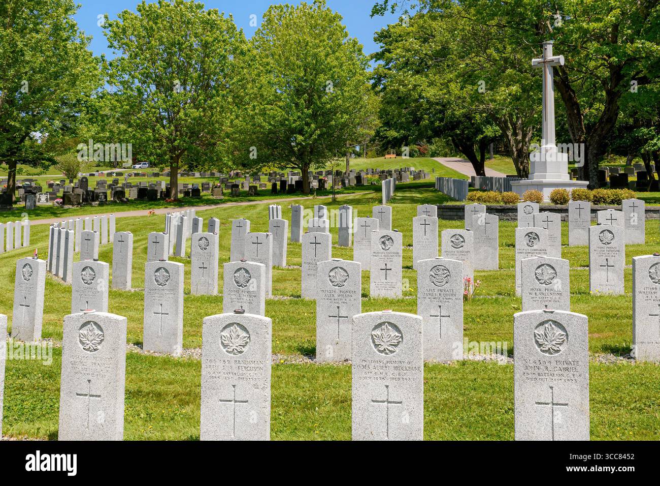 Saint John, NB, Kanada - 21. Juni 2025: Die militärische Sektion eines kanadischen Friedhofs. Ein großes Kreuz steht als Denkmal im Hintergrund. Stockfoto
