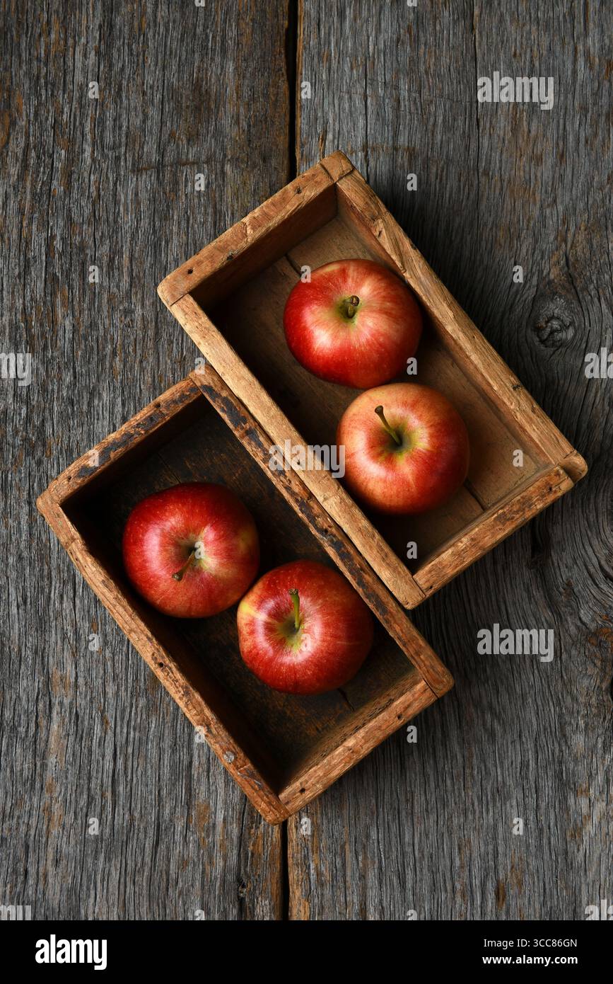 Zwei rustikale Holzkisten mit Gala-Äpfeln auf einem alten Holztisch. Stockfoto