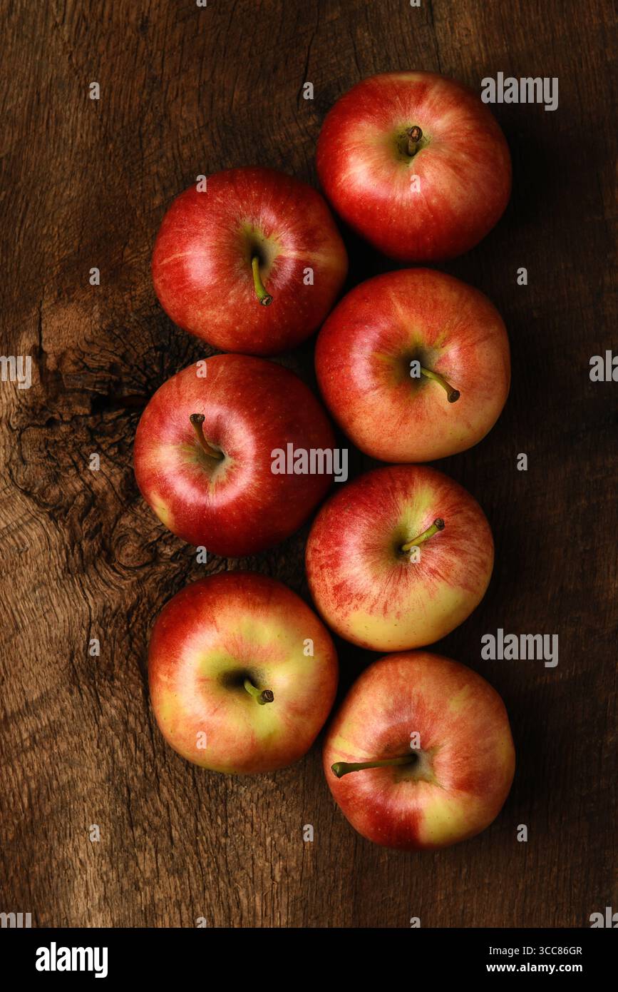 Eine Gruppe frisch gepflückter Gala-Äpfel auf einem rustikalen Holztisch. Zwei Reihen Äpfel, die direkt von oben geschossen wurden. Stockfoto