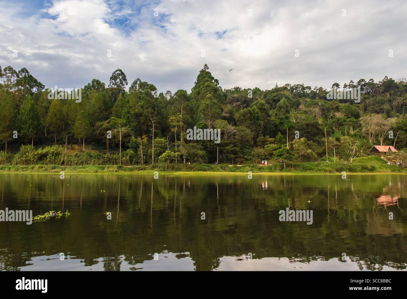 El Oconal Lagune in Villa Rica - Oxapampa, Pasco, Peru Stockfoto
