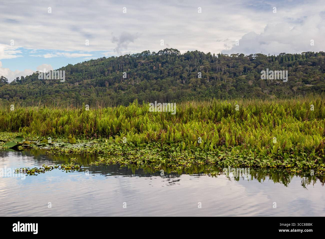 El Oconal Lagune in Villa Rica - Oxapampa, Pasco, Peru Stockfoto
