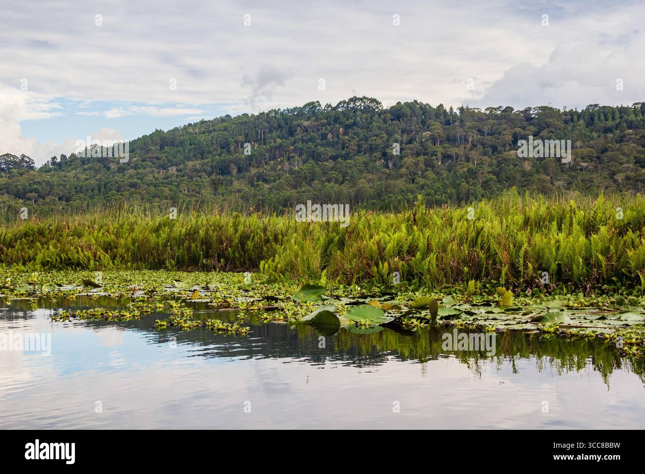 El Oconal Lagune in Villa Rica - Oxapampa, Pasco, Peru Stockfoto