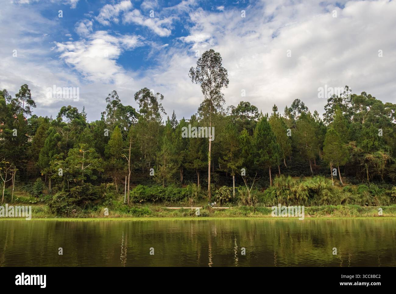 El Oconal Lagune in Villa Rica - Oxapampa, Pasco, Peru Stockfoto