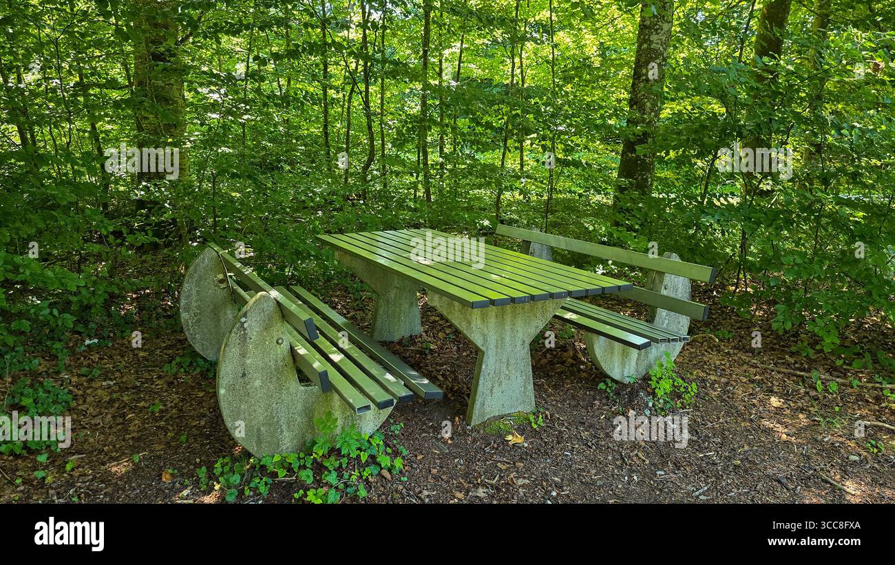 Blick auf den Tisch und zwei Bänke aus Beton und Metall im deutschen Wald. Picknickplatz im Wald in Deutschland. Stockfoto
