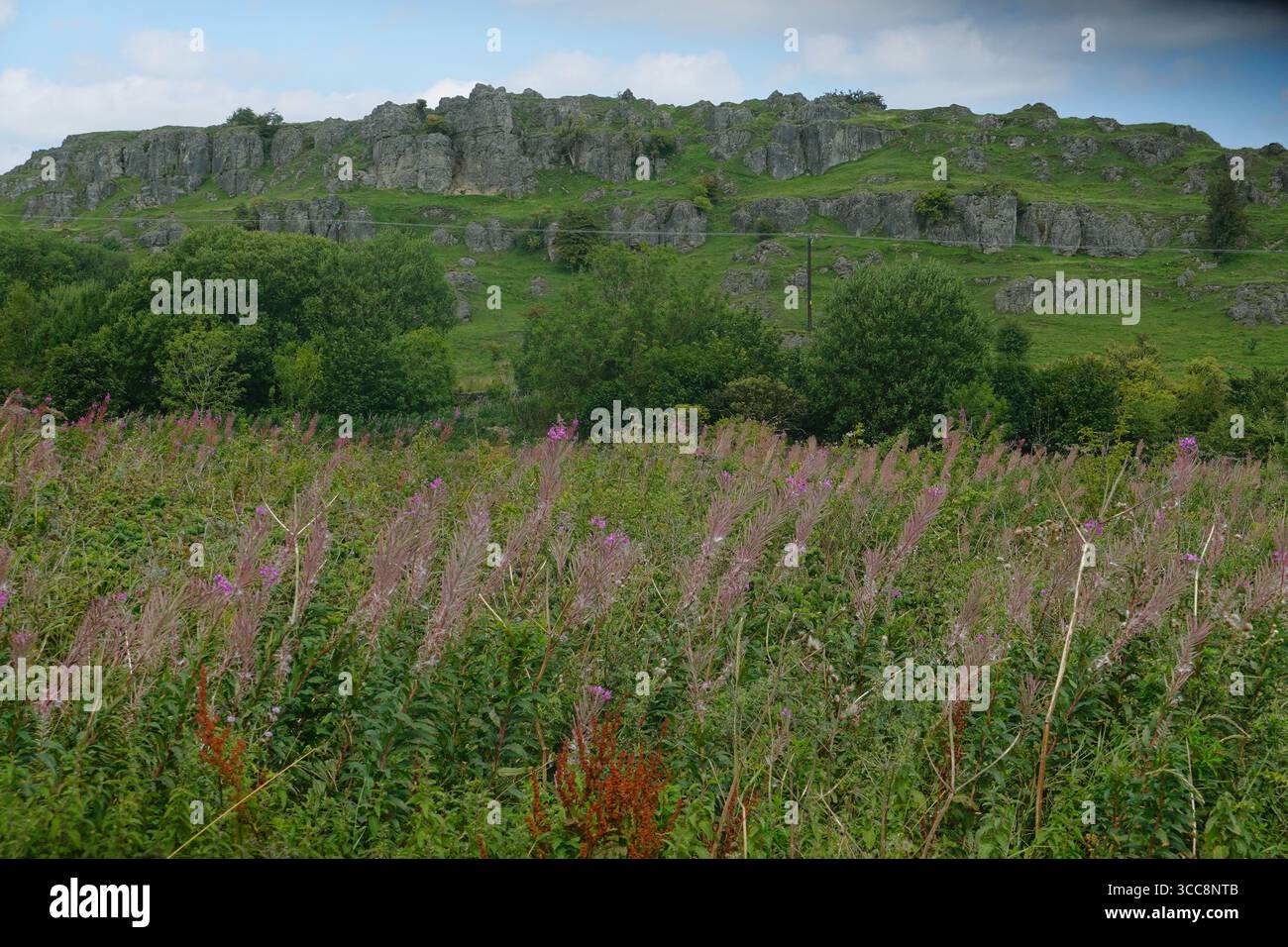 Harboro Rocks in Brassington, Derbyshire, England Stockfoto
