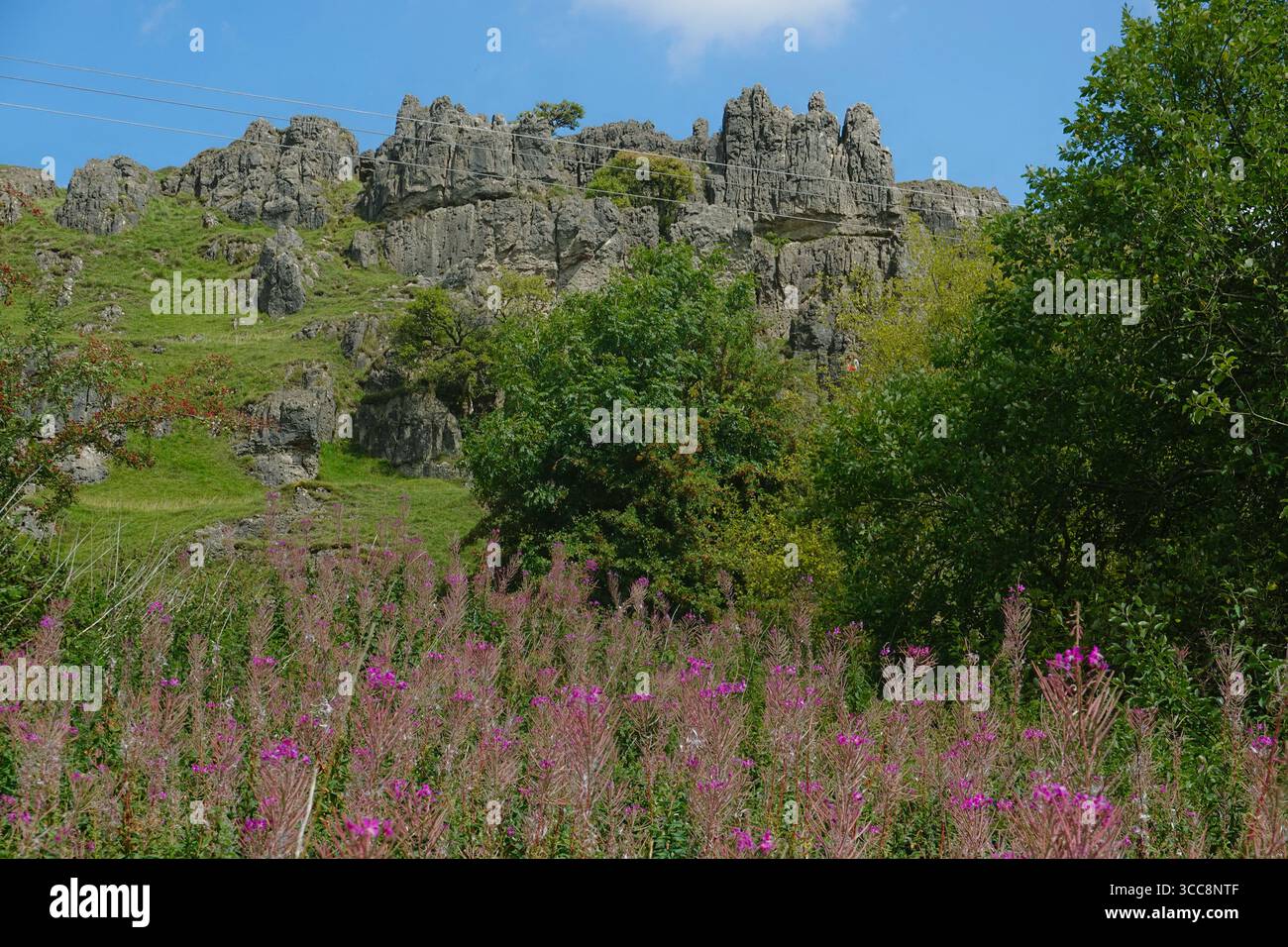 Harboro Rocks in Brassington, Derbyshire, England Stockfoto