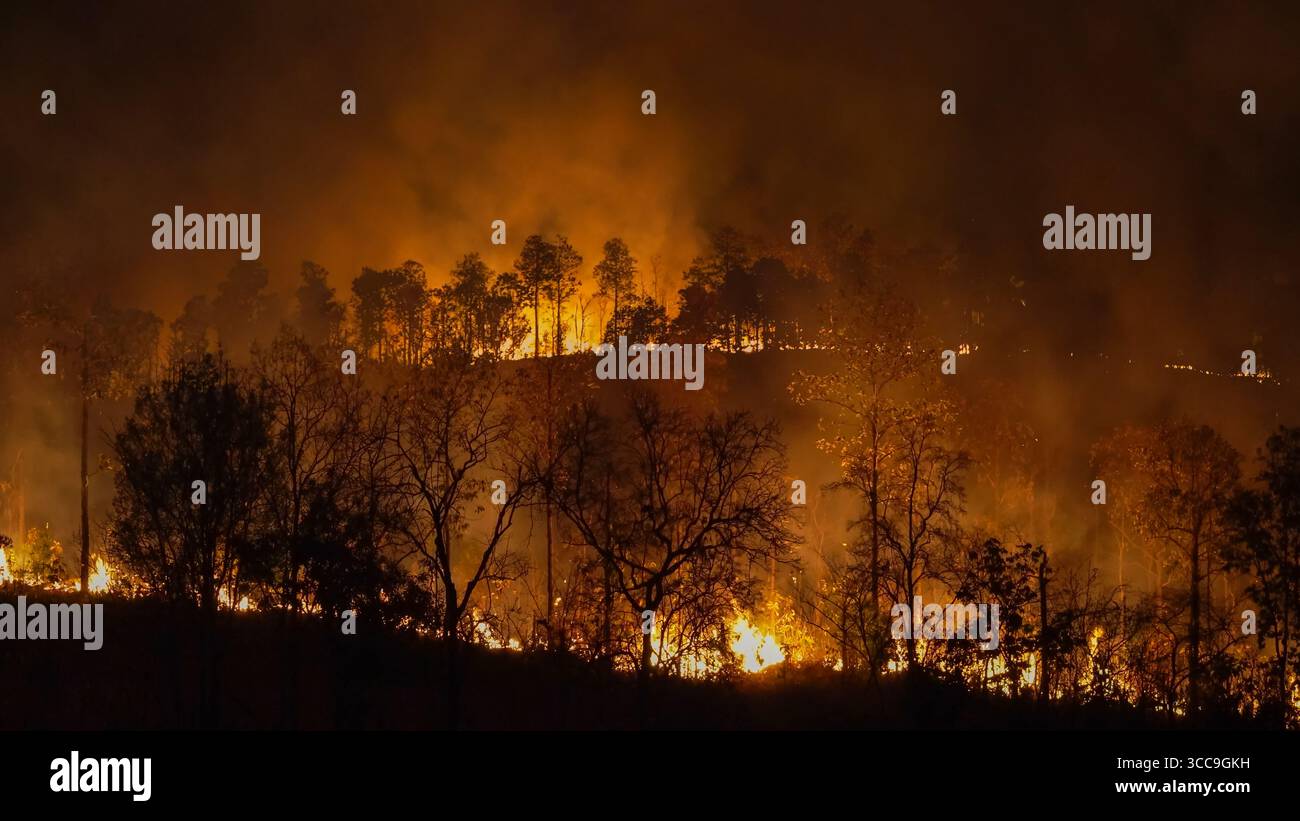 Klimawandel, Waldbrände setzen Kohlendioxidemissionen (CO2) und andere Treibhausgase (THG) frei, die zum Klimawandel beitragen. Stockfoto