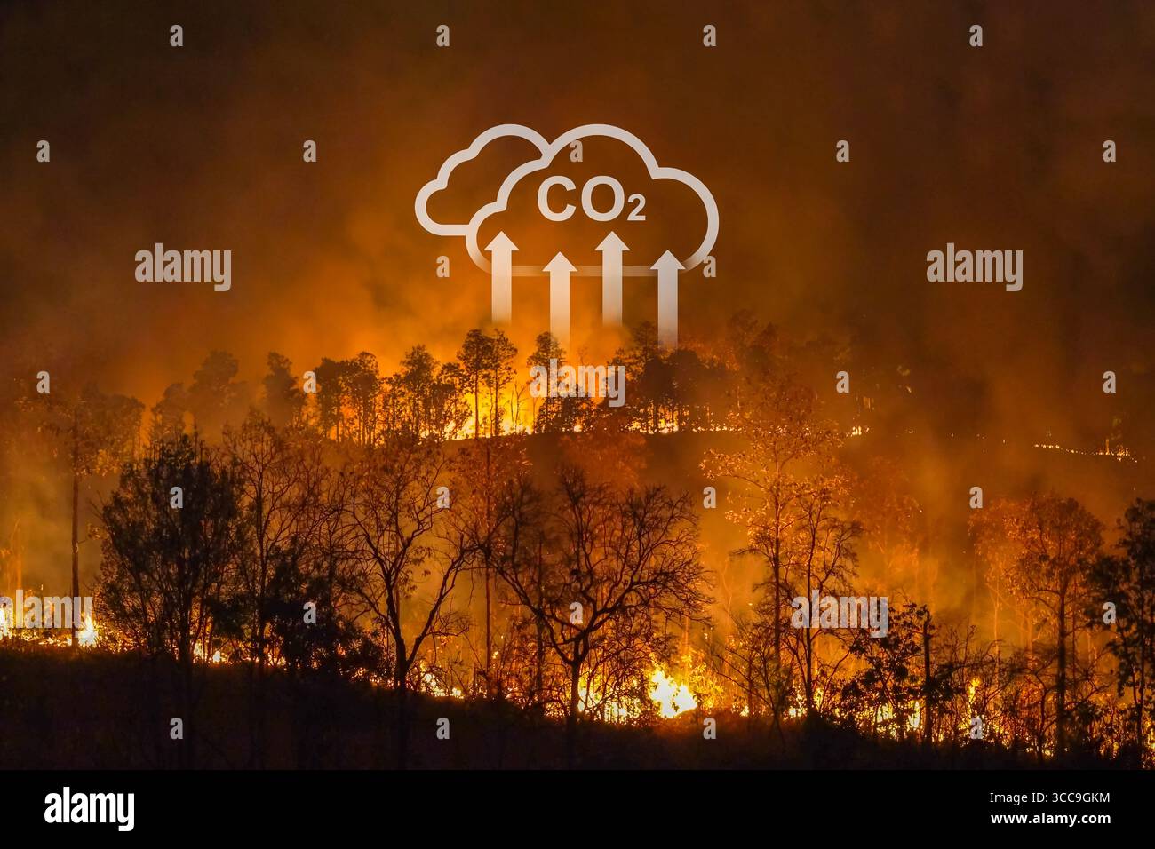 Klimawandel, Waldbrände setzen Kohlendioxidemissionen (CO2) und andere Treibhausgase (THG) frei, die zum Klimawandel beitragen. Stockfoto