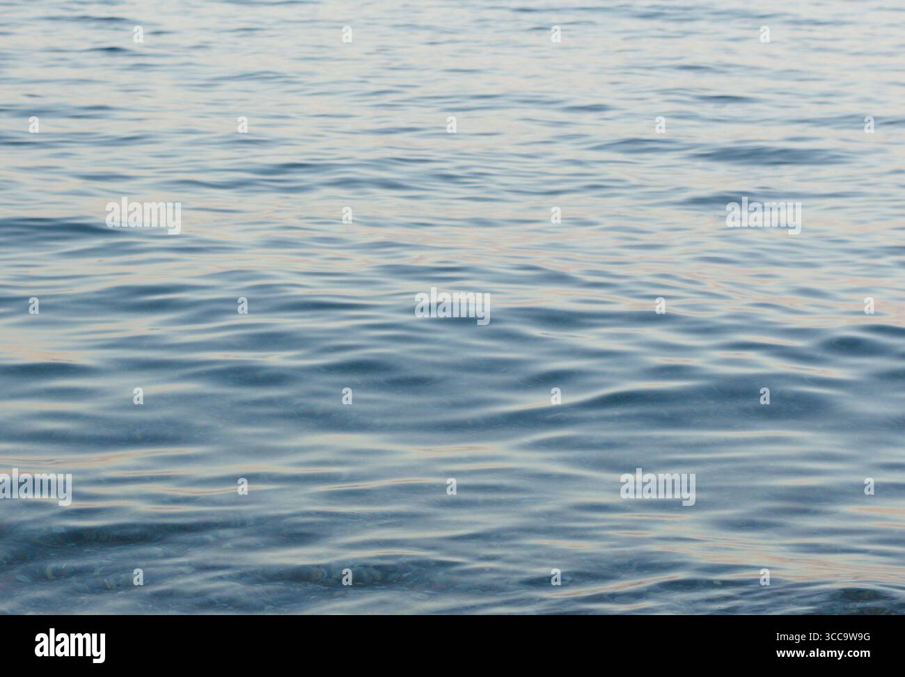 Morgenlicht auf dem Wasser. Blaue Wellen, Morgenlicht, großes Foto. Stockfoto
