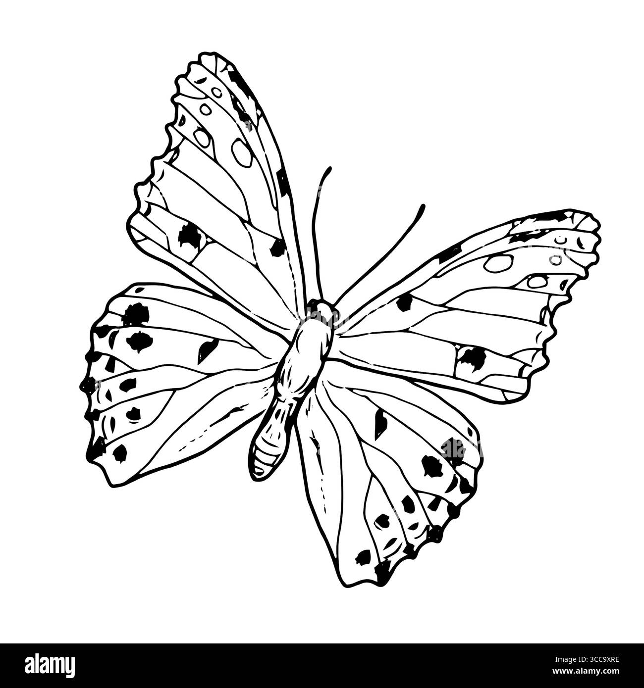 Anmutiger Schmetterling mit Flügeln, schwarz-weiße Skizze. Vektorabbildung. Silhouette eines Sommerinsekts, isoliert auf weißem Hintergrund. Das Thema Stock Vektor