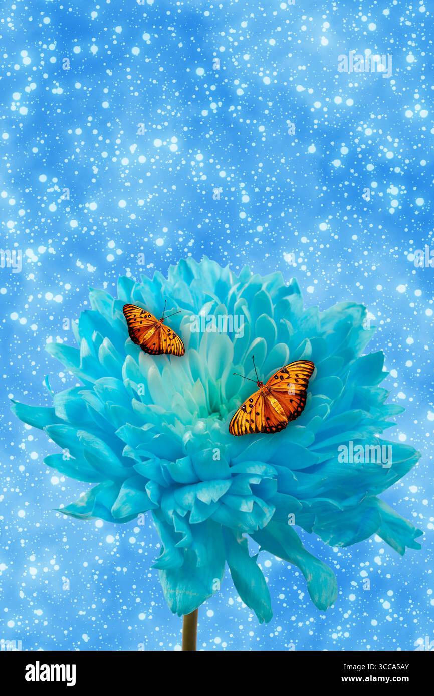 Blaue Schmetterlinge ruhen auf einer zarten blauen Blume in einer natürlichen Umgebung und symbolisieren Schönheit, Fragilität und Verwandlung Stockfoto